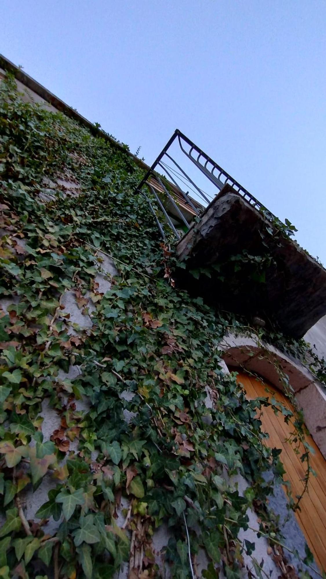 Villa Diana Fiumefreddo di Sicilia Eksteriør billede